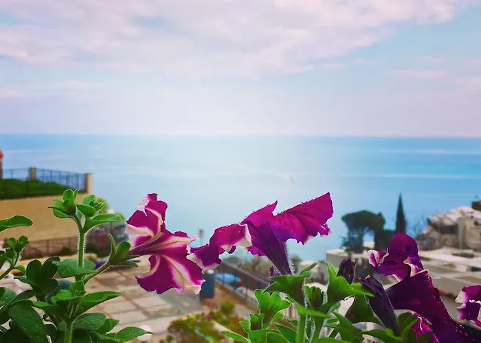 Hotel Delle Palme In Positano