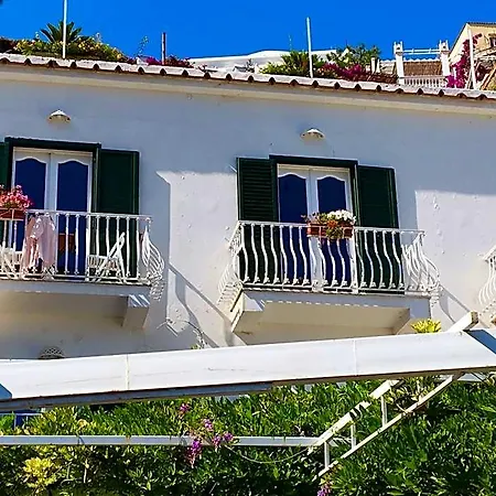 Hotel Delle Palme In 3*