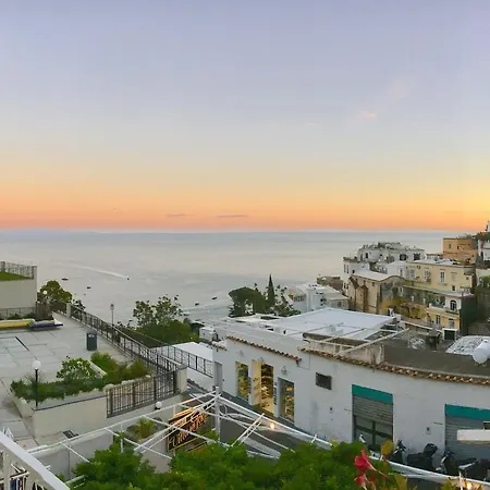 Hotell Delle Palme In 3*