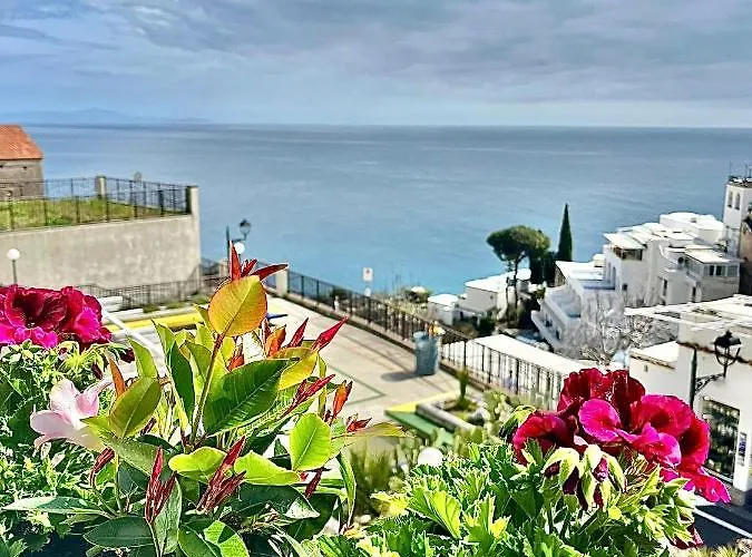 Hotel Delle Palme In