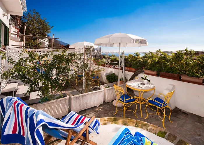 Delle Palme In Hotel 3*