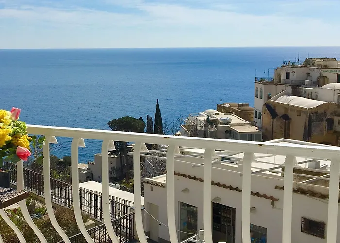 Delle Palme In Hotel