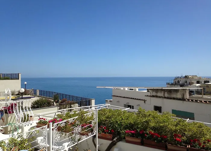 Delle Palme In Hotel