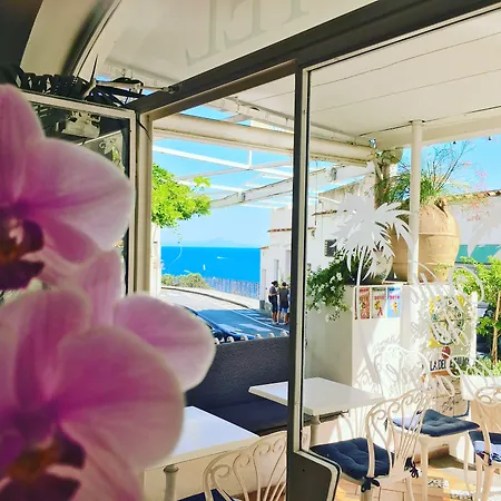 Delle Palme In Positano